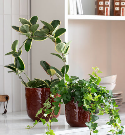 Ginko blomsterpotte rustrød 17 cm Ginko blomsterpotte rustrød 17 cm